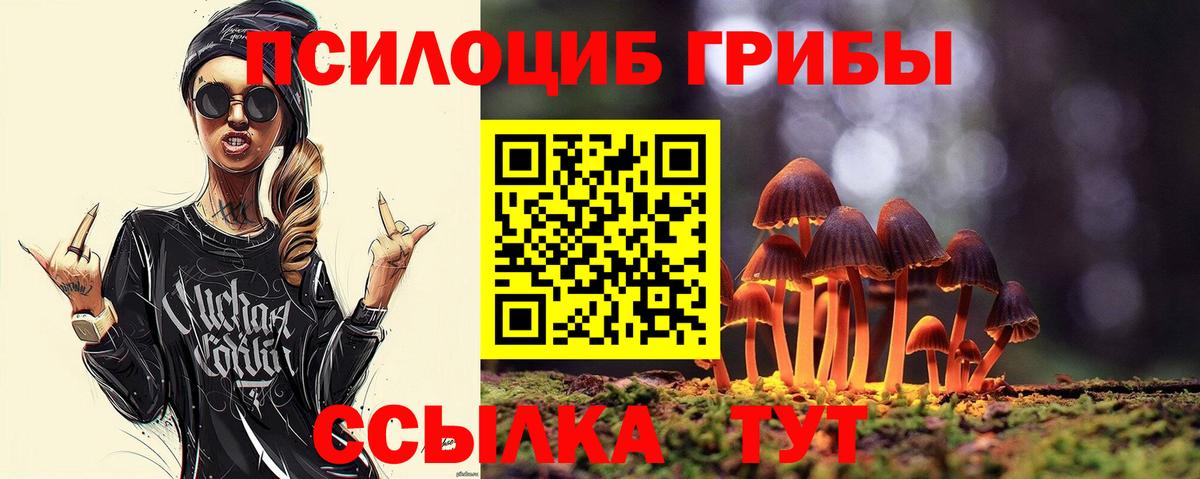 Галлюциногенные грибы Cubensis Ишим