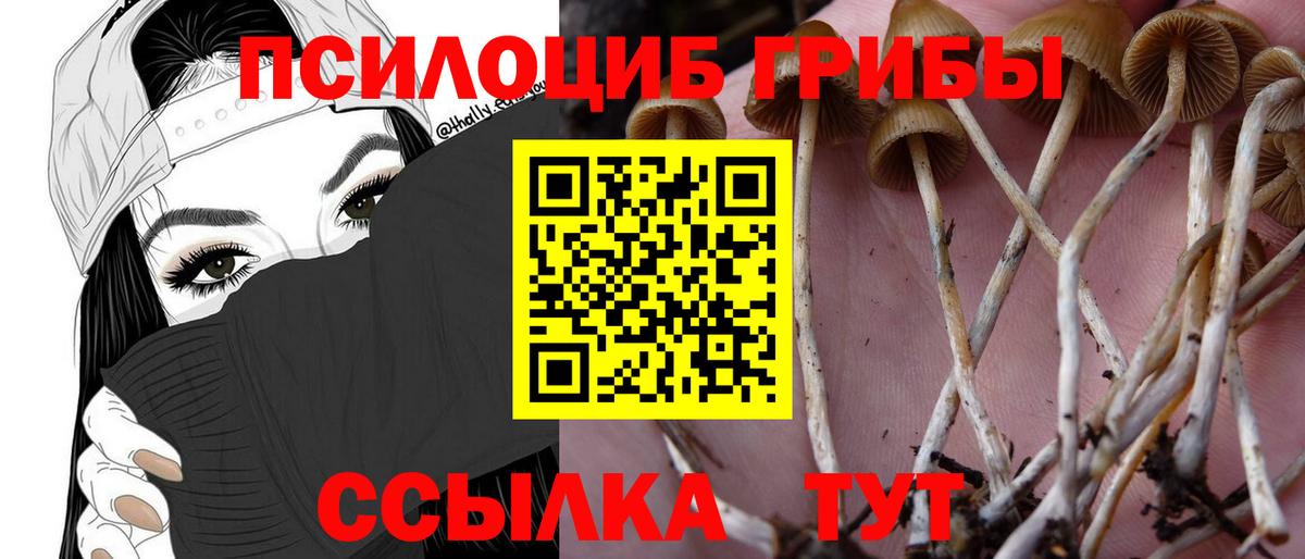 Галлюциногенные грибы ЛСД  Вход с VPN  Ишим 